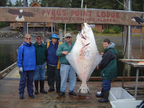Our boat caught the biggest halibut of the week, a 200 pounder caught by Nan on the right while we were fishing for rock fish. Our skipper John is on the left side of the big fish and worked hard to make sure we got this fish on board. We were all fishing with light gear and 20 pound line for the rock fish.