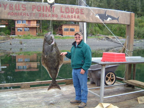 Here's Dan with another halibut in the 70 pound range. These are great eaters.