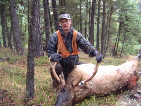 Matt with a hard-earned 4-point Montana bull shot with his Lilja barreled 7mm Rem Mag.