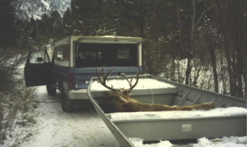 Here's a nice 4-point buck we got in the 1980's late in the season. There was no road access where this buck was shot and we brought him out whole in the boat after sliding him down to the river from higher up in the canyon. It was cold this day, near zero as I remember now. Too cold be be boating but a great day to hunt rutting bucks.