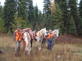 Packing out elk quarters in the fall of 2005. Horses take all of the fun out of packing. Actually horses like these fine geldings are worth their weight in gold at a time like this.